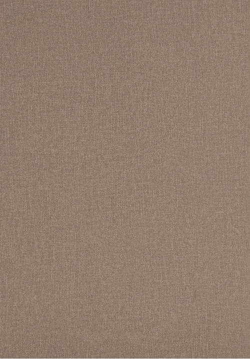 CANVAS_beżowy_beige