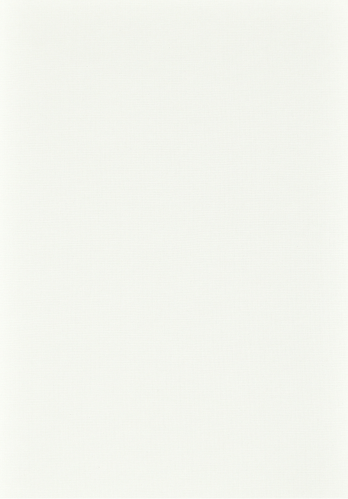 CANVAS_biały_white
