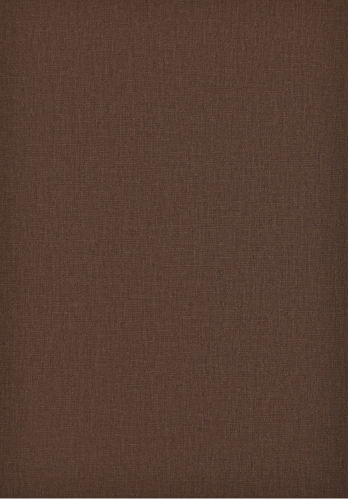 CANVAS_brązowy_brown