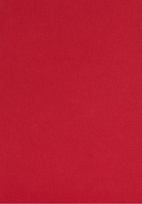 CANVAS_czerwony_red