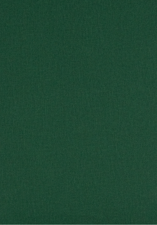 CANVAS_zielony_green