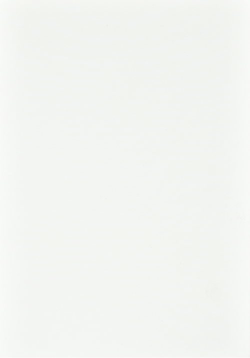 GUMA_biały_white