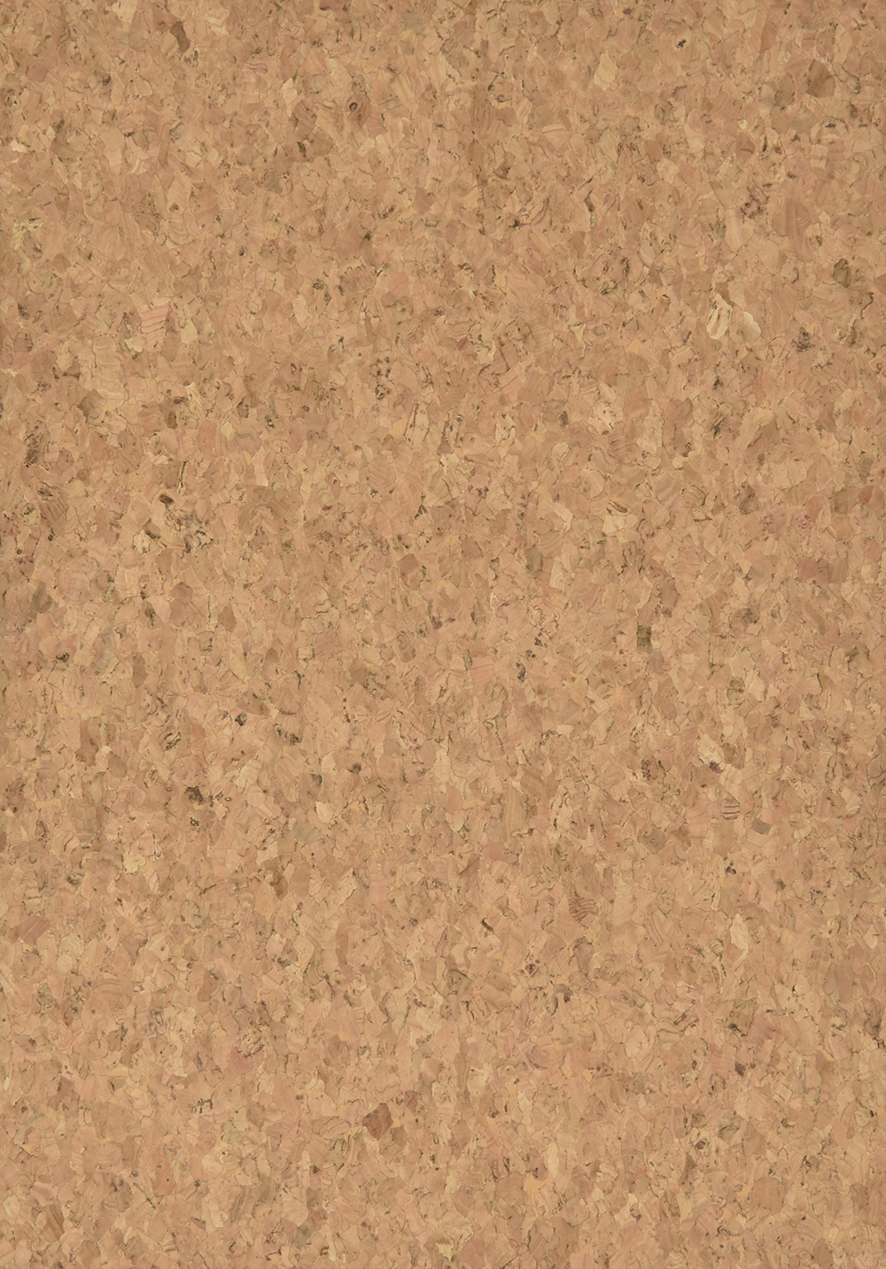 QUERK_beżowy_beige 1